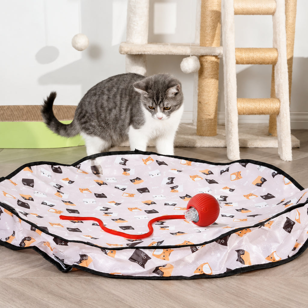 Interactive cat toy with a ball