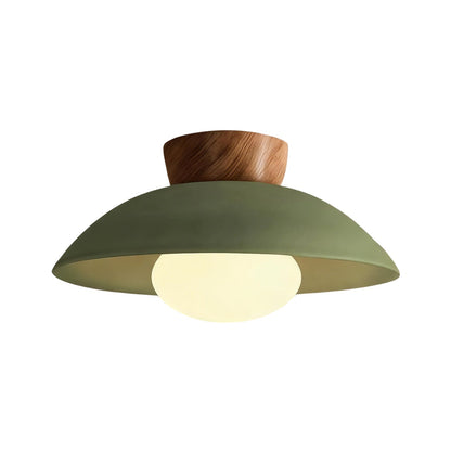 Dome ceiling light with wooden mount