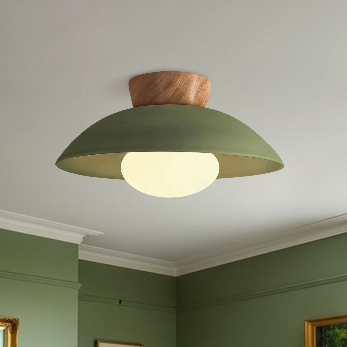 Dome ceiling light with wooden mount