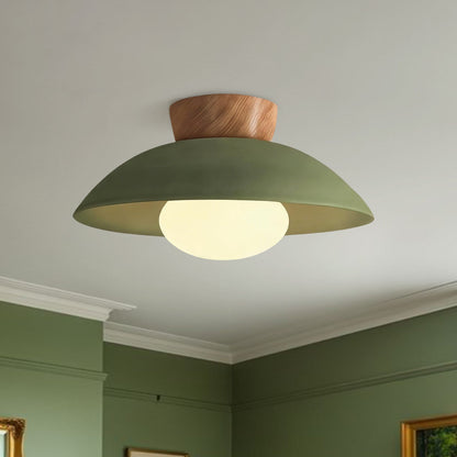 Dome ceiling light with wooden mount
