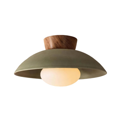 Dome ceiling light with wooden mount