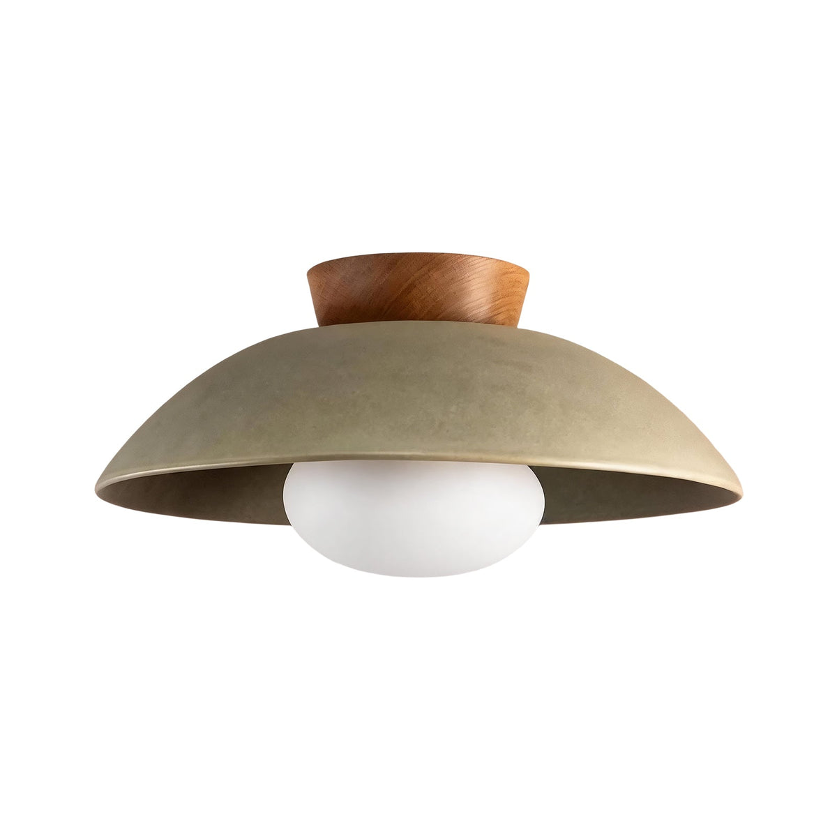 Dome ceiling light with wooden mount