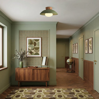 Dome ceiling light with wooden mount