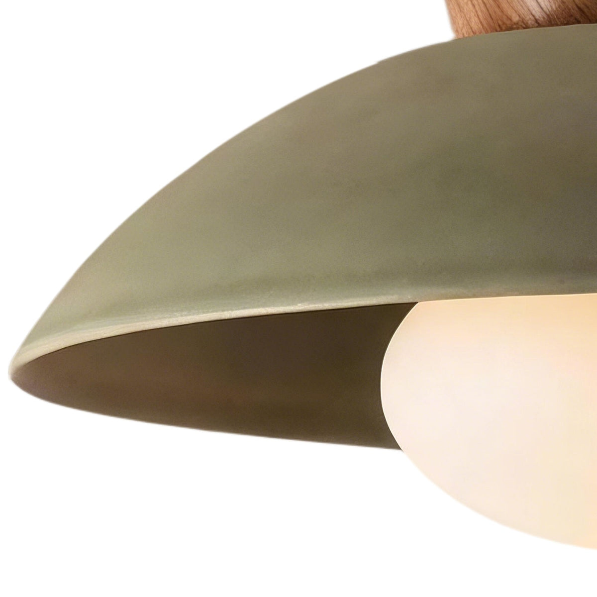 Dome ceiling light with wooden mount