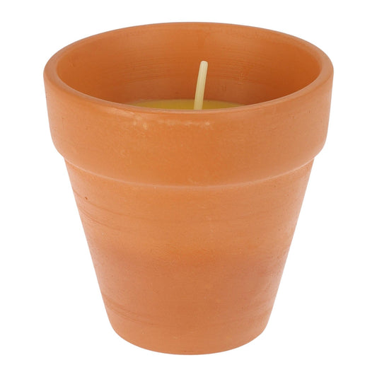 Świeca zapachowa citronella w doniczce