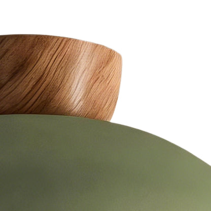 Dome ceiling light with wooden mount