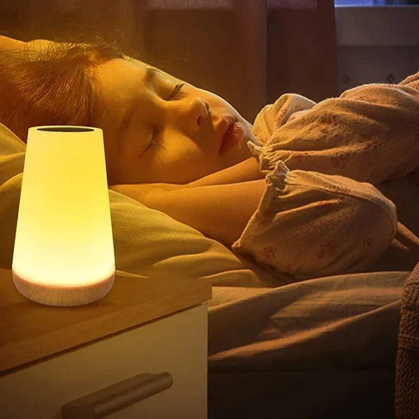 Touch LED night light