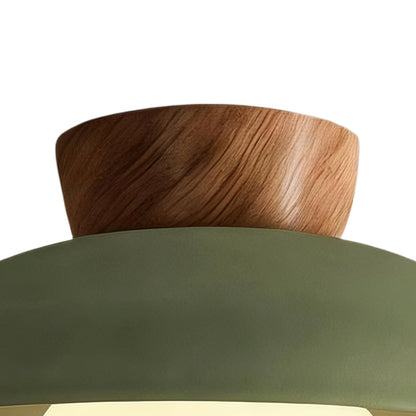 Dome ceiling light with wooden mount