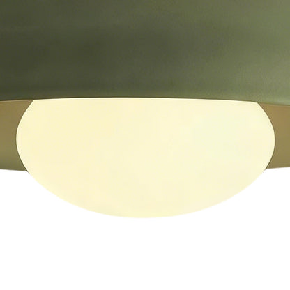 Dome ceiling light with wooden mount