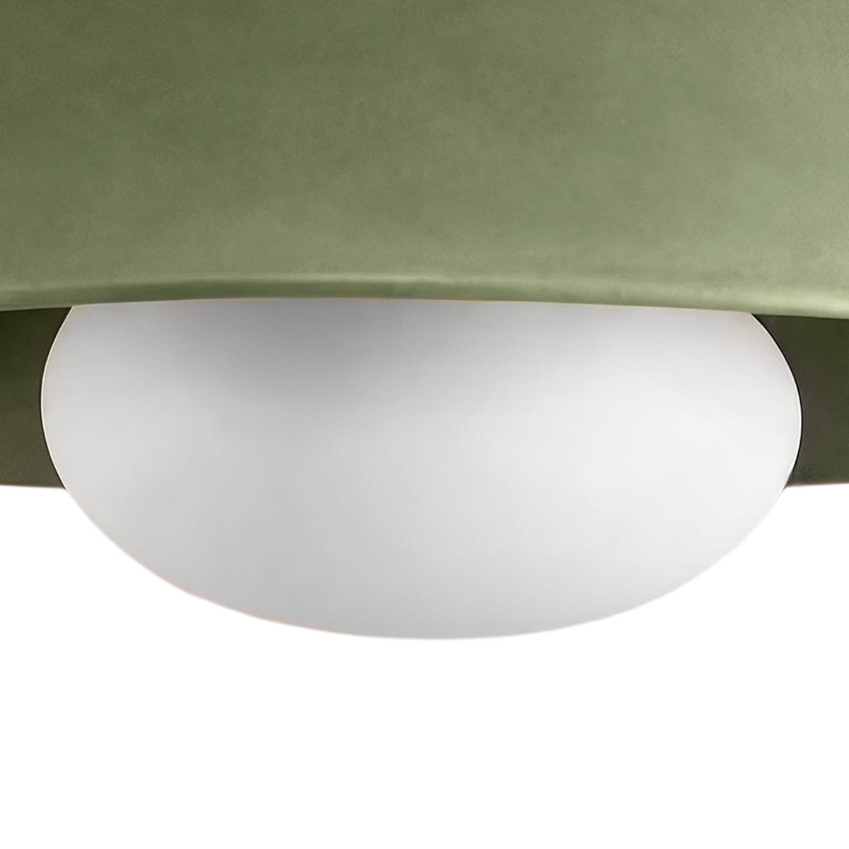 Dome ceiling light with wooden mount