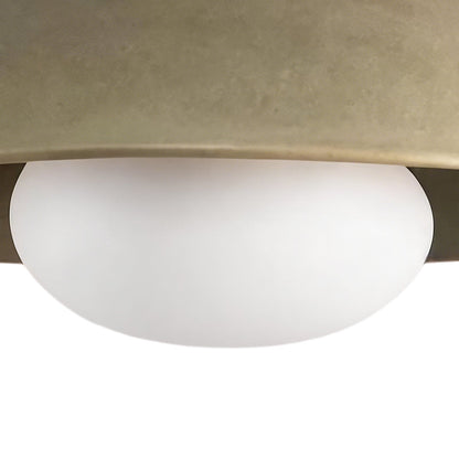 Dome ceiling light with wooden mount