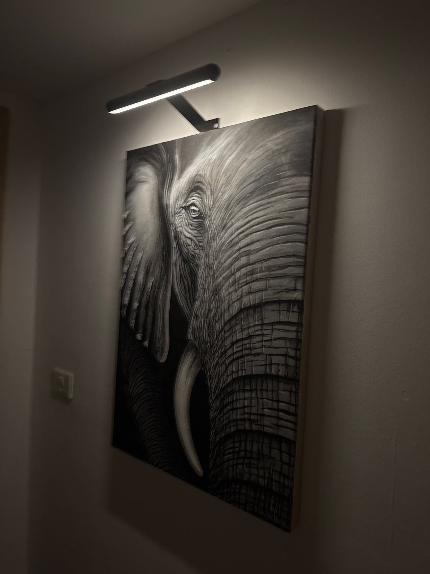 LED picture light with remote control