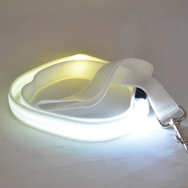 Smycz dla Psa z Oświetleniem LED i Ładowaniem USB