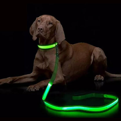 Smycz dla Psa z Oświetleniem LED i Ładowaniem USB