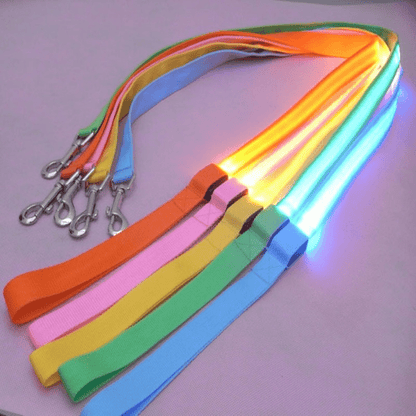 Smycz dla Psa z Oświetleniem LED i Ładowaniem USB