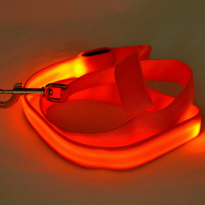 Smycz dla Psa z Oświetleniem LED i Ładowaniem USB