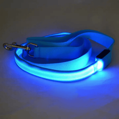 Smycz dla Psa z Oświetleniem LED i Ładowaniem USB