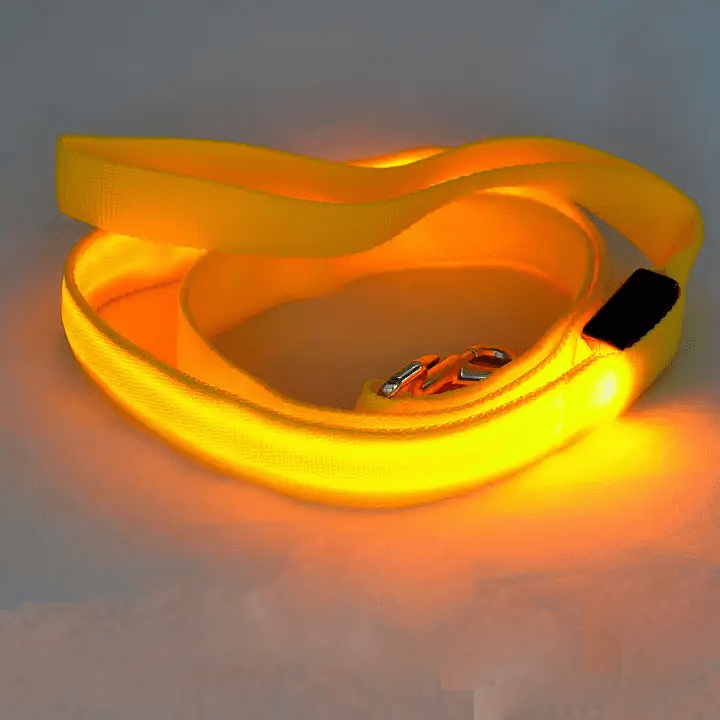 Smycz dla Psa z Oświetleniem LED i Ładowaniem USB