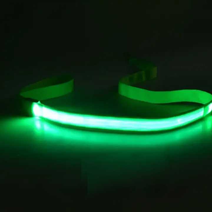 Smycz dla Psa z Oświetleniem LED i Ładowaniem USB