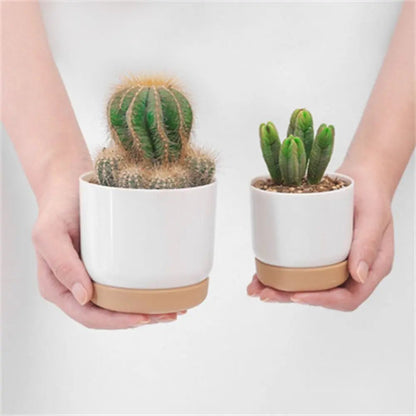 Compact self-watering planter