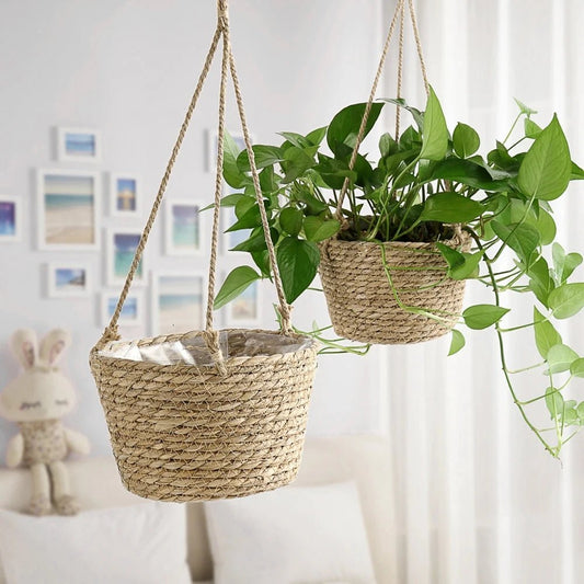 Macramé plant hanger