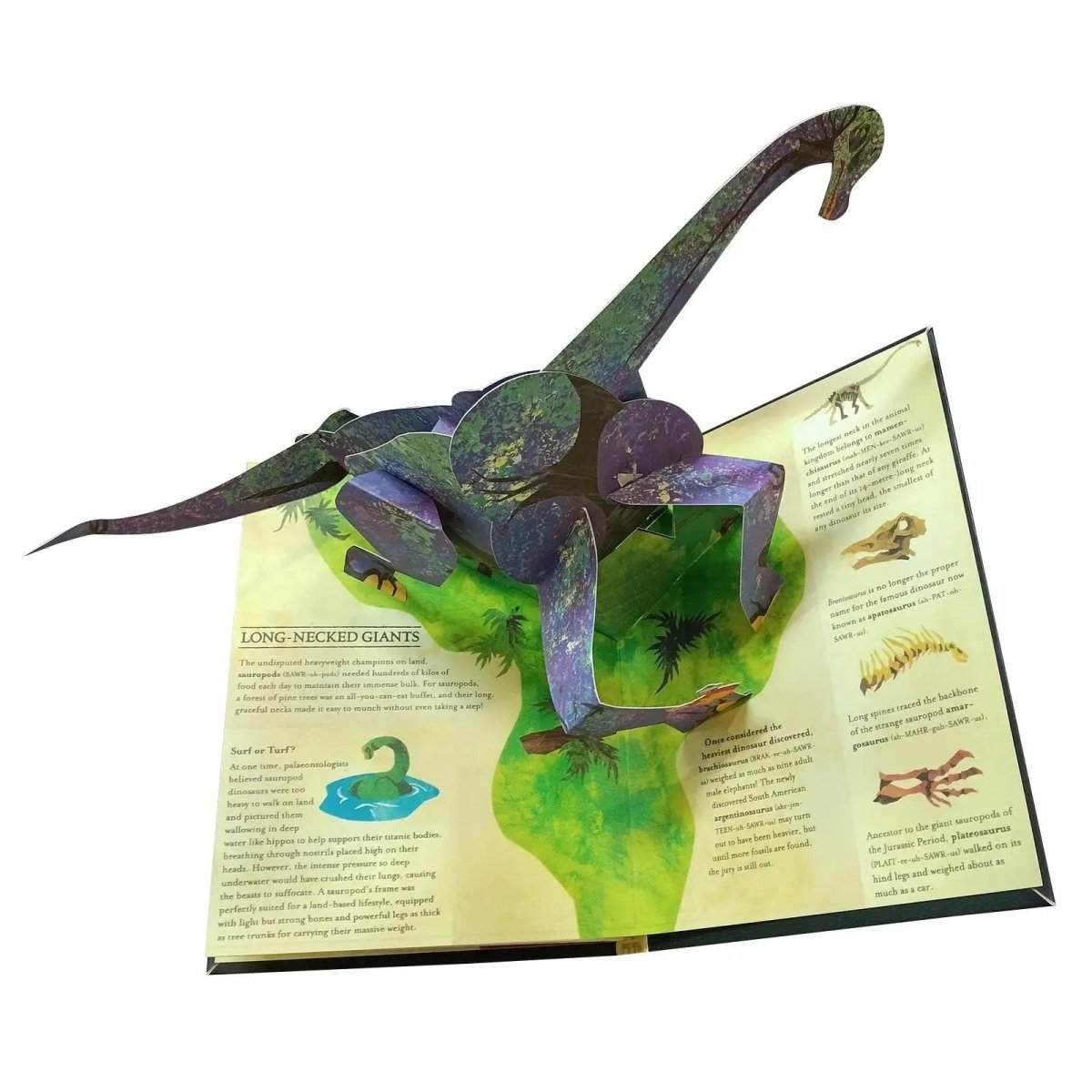 Książka dla Dzieci 3D Pop-up o Dinozaurach z Interaktywnymi Ilustracjami Edukacyjnymi