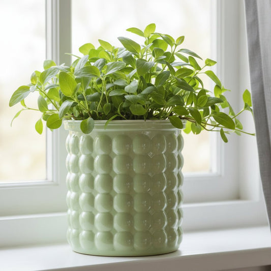Self-watering hydroponic pot
