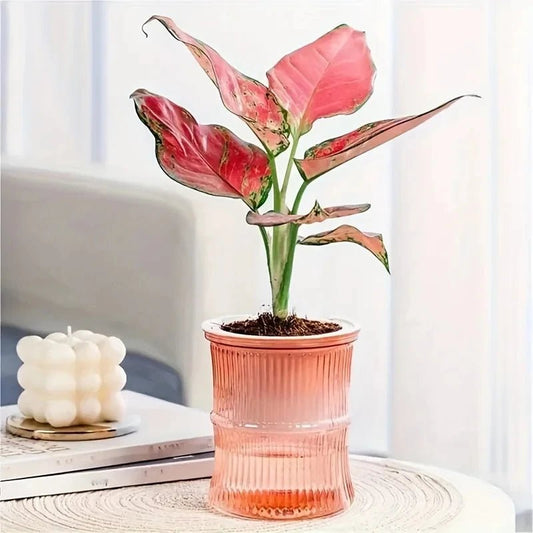 Self-watering planter