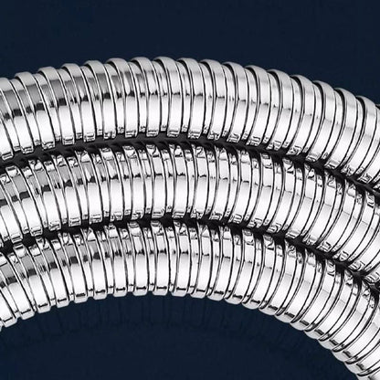 Flexible de douche en acier inoxydable