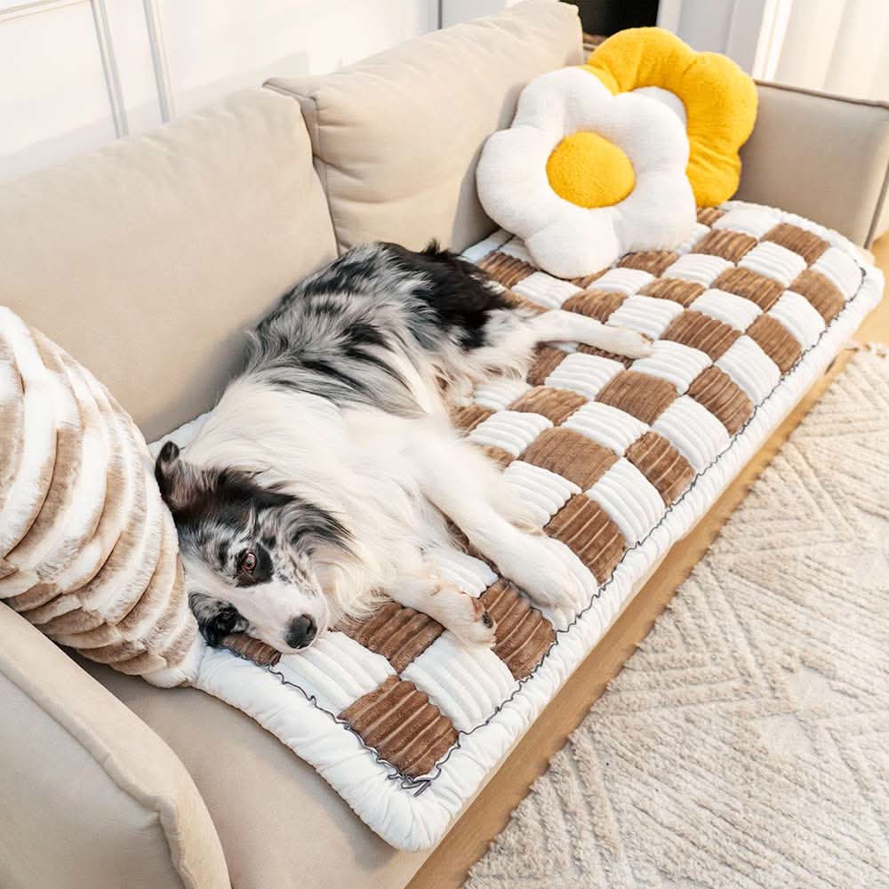 Pet blanket with a non-slip underside