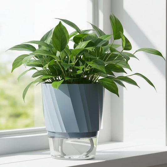 Self-watering hydroponic planter