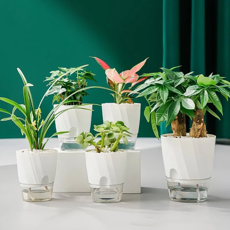 Pot autoarrosant pour l’hydroponie
