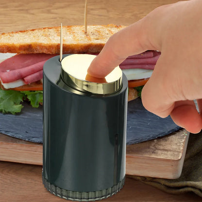 Compact toothpick holder