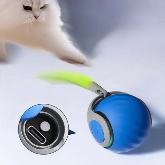Rolling USB toy for cats and dogs