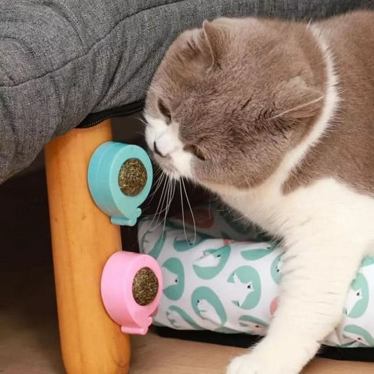 Cat toy with catnip