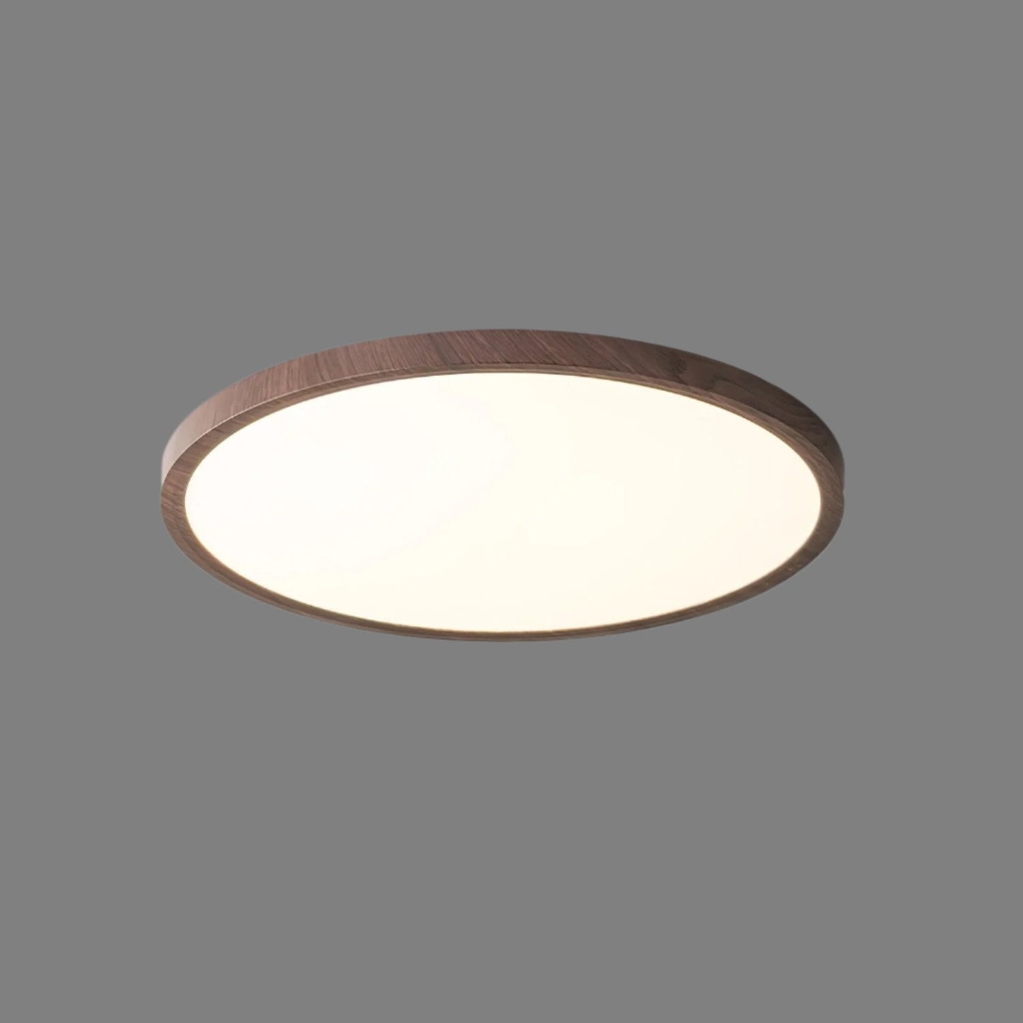 Ultracienka ronde plafondlamp met geïntegreerde LED en instelbare lichtkleur