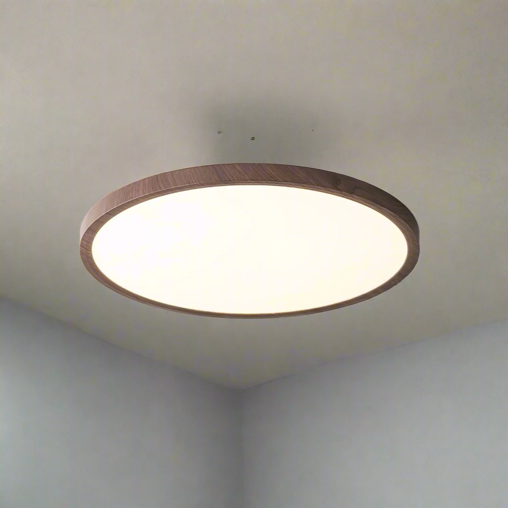 Ultracienka ronde plafondlamp met geïntegreerde LED en instelbare lichtkleur