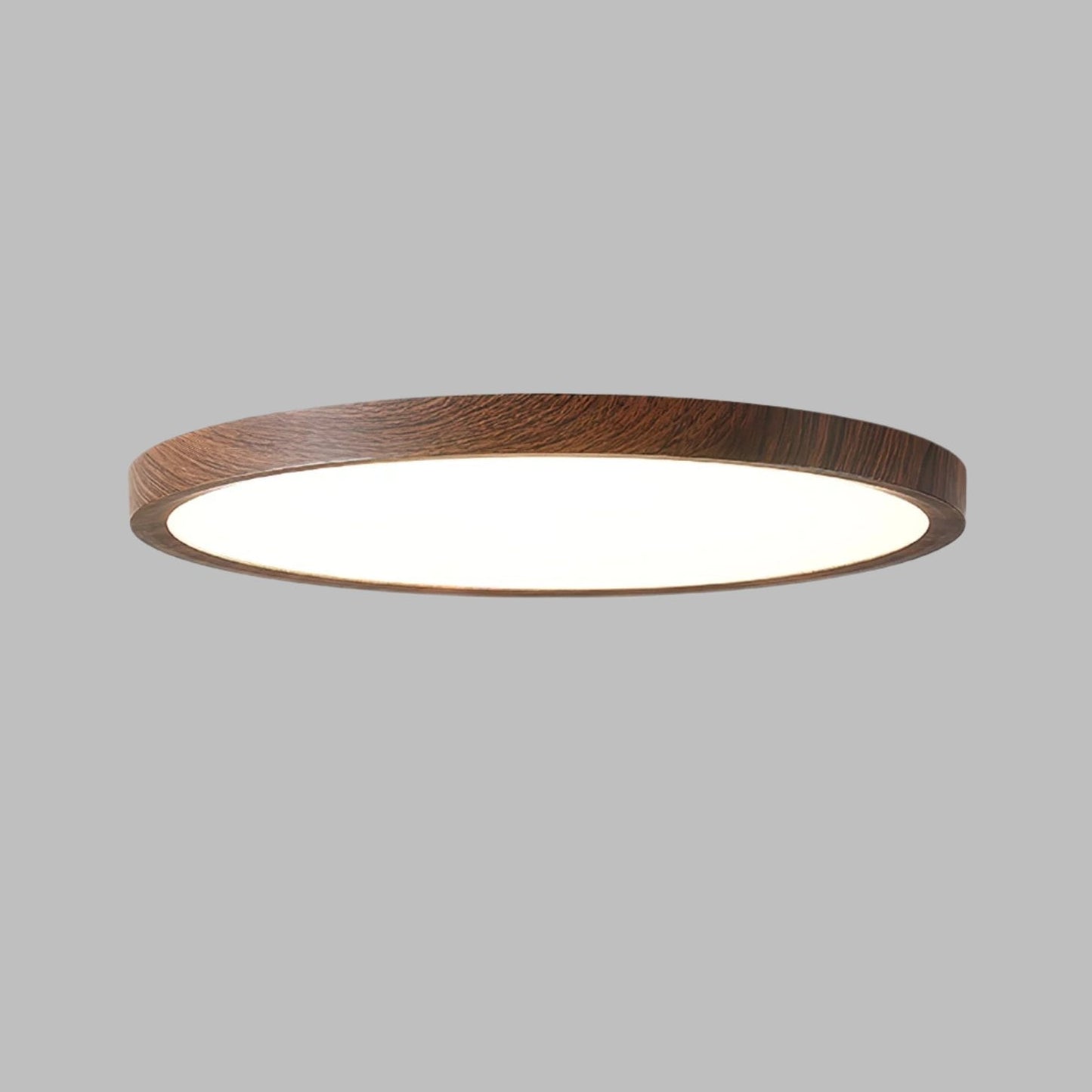 Ultracienka ronde plafondlamp met geïntegreerde LED en instelbare lichtkleur