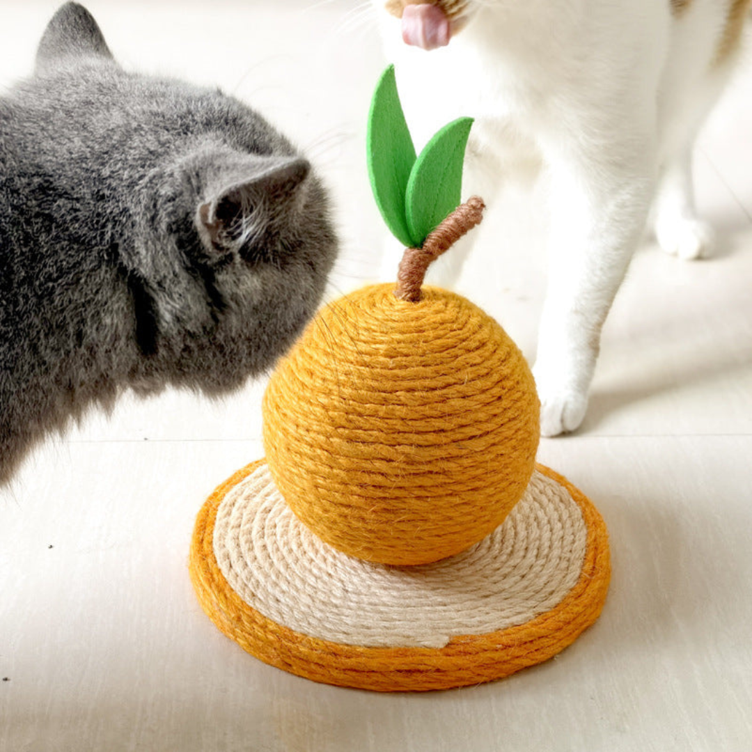 Griffoir pour chat en forme de fruit