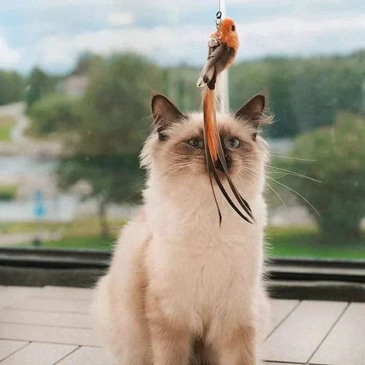 Cat toy with moving wings