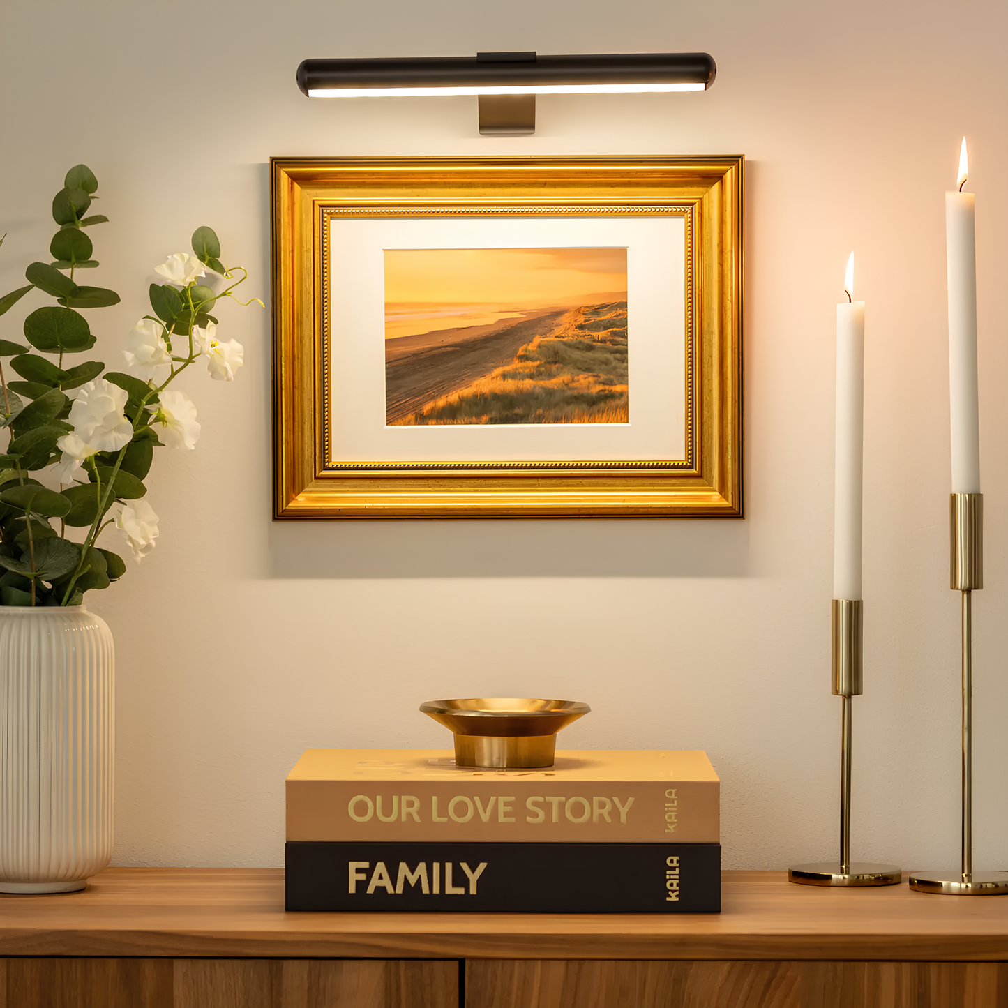 LED picture light with remote control