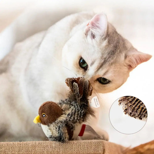 Oiseau gazouillant pour chat