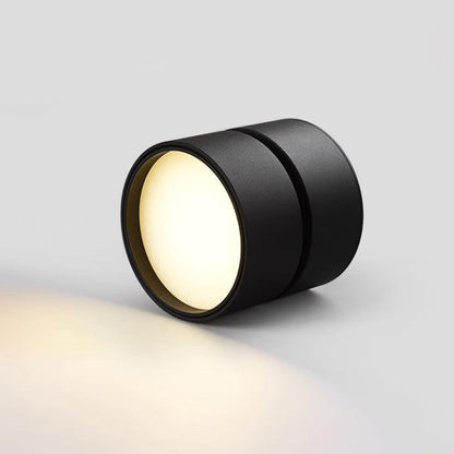 Plafon Punktowy LED Regulowany z Aluminium do Oświetlenia Akcentowego