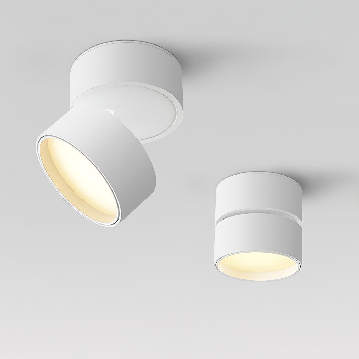 Plafon Punktowy LED Regulowany z Aluminium do Oświetlenia Akcentowego