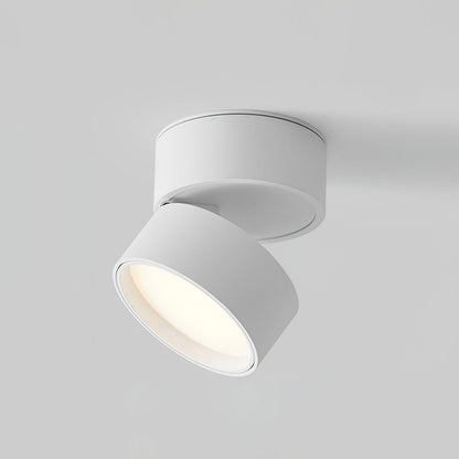 Plafon Punktowy LED Regulowany z Aluminium do Oświetlenia Akcentowego