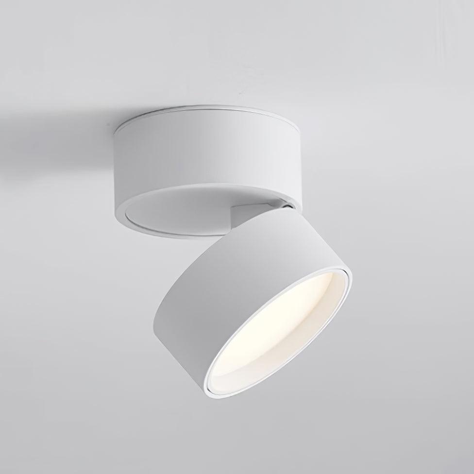 Plafon Punktowy LED Regulowany z Aluminium do Oświetlenia Akcentowego
