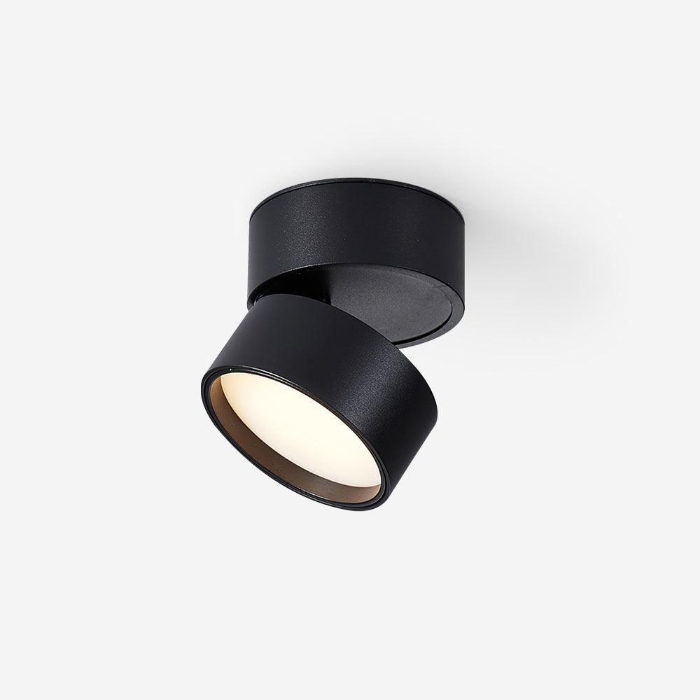 Plafon Punktowy LED Regulowany z Aluminium do Oświetlenia Akcentowego