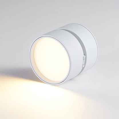 Plafon Punktowy LED Regulowany z Aluminium do Oświetlenia Akcentowego