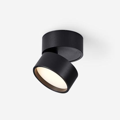Plafon Punktowy LED Regulowany z Aluminium do Oświetlenia Akcentowego