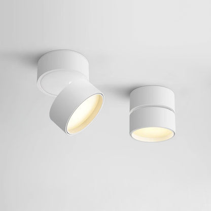 Plafon Punktowy LED Regulowany z Aluminium do Oświetlenia Akcentowego